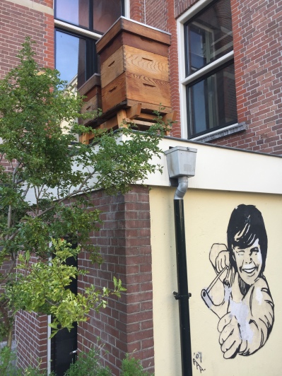 Des ruches sur le toit à Amsterdam